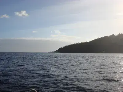 DSC01264